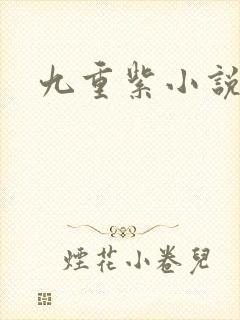九重紫小说