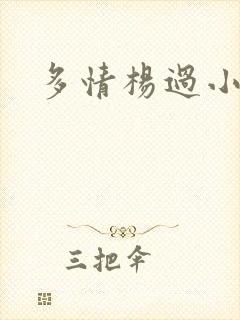 多情杨过小说封面