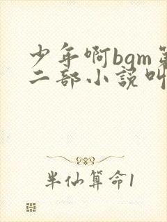 少年啊bgm第二部小说叫什么