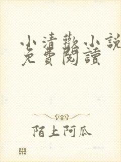 小清欢小说全文免费阅读