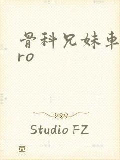 骨科兄妹车多pro