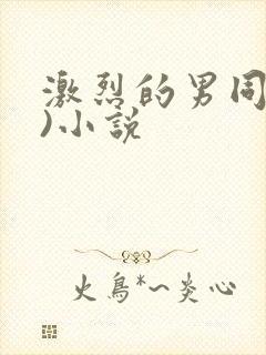 激烈的男同(h)小说