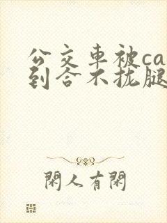 公交车被cao到合不拢腿视频封面