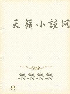 天籁小说网封面