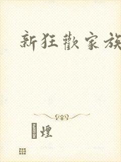 新狂欢家族小说