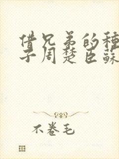 借兄弟的种生孩子周楚臣苏糖