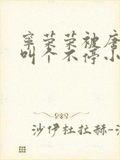 宁荣荣被唐三桶叫个不停小说