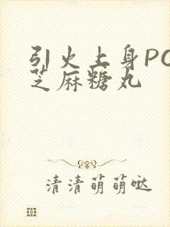 引火上身POP芝麻糖丸