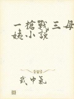 一枪战三母2雪姨小说