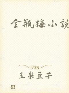 金瓶梅小说下载