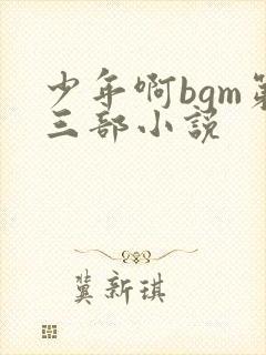 少年啊bgm第三部小说