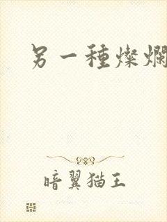 另一种灿烂生活