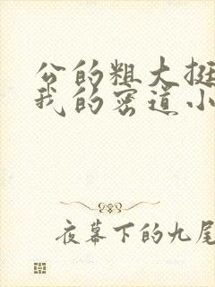 公的粗大挺进了我的密道小说