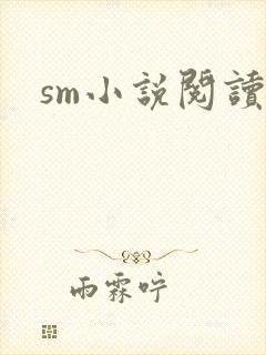 sm小说阅读