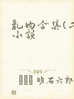 乱肉合集(二)小说