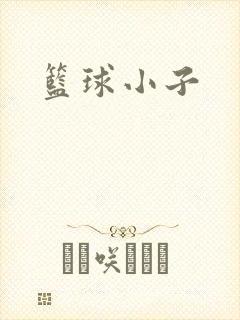 篮球小子封面