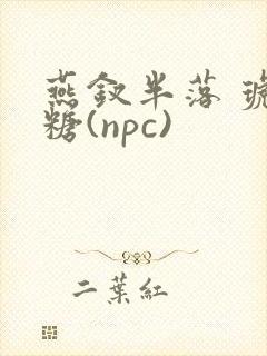 燕钗半落 琥珀糖(npc)