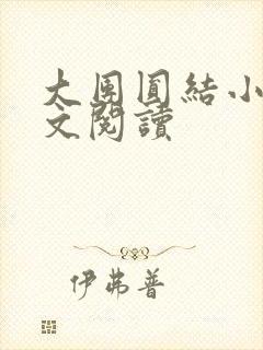 大团圆结小茹全文阅读