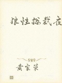 狼性总裁夜欢宠