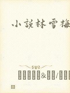 小说林雪梅