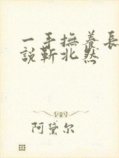 一手抚养长大小说靳北然