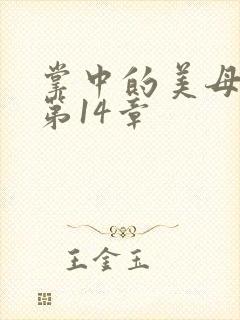 掌中的美母版主第14章