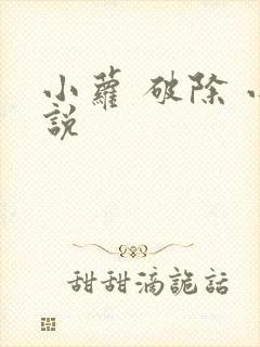 小萝 破除 小说