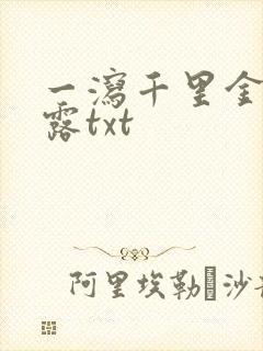 一泻千里金银花露txt