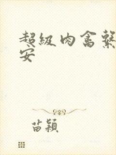 超级肉禽系统保安