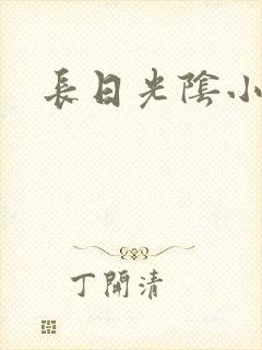 长日光阴小说