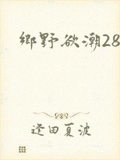 乡野欲潮28章