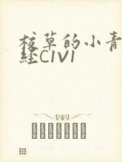 校草的小青梅不经C1V1