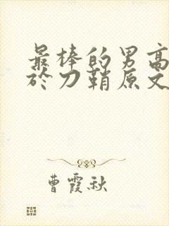 最棒的男高中生于刀鞘原文阅读