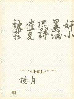 被催眠暴奸的校花夏诗涵小说