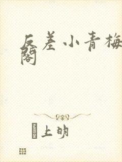 反差小青梅笔趣阁