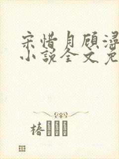 宋惜月顾浔渊的小说全文免费阅读