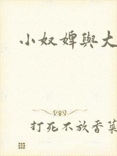 小奴婢与大少爷