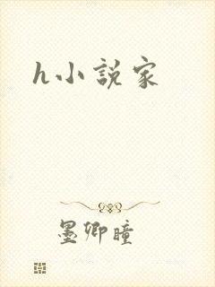 h小说家