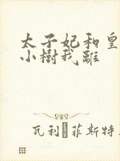 太子妃和皇上在小树我离