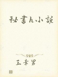 秘书h小说