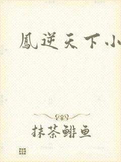 凤逆天下小说
