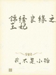 锦绣良缘之北地王妃