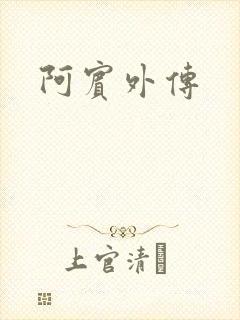 阿宾外传