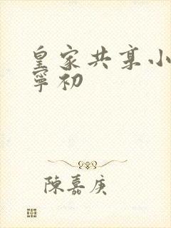 皇家共享小公主宁初