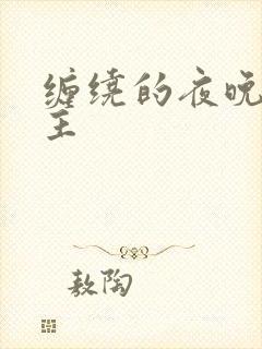 缠绕的夜晚双男主