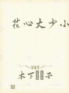 花心大少小说