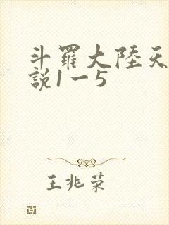 斗罗大陆天狂传说1一5