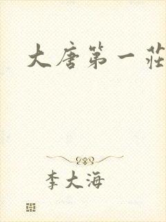 大唐第一庄