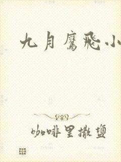 九月鹰飞小说