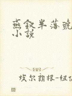 燕钗半落琥珀糖小说